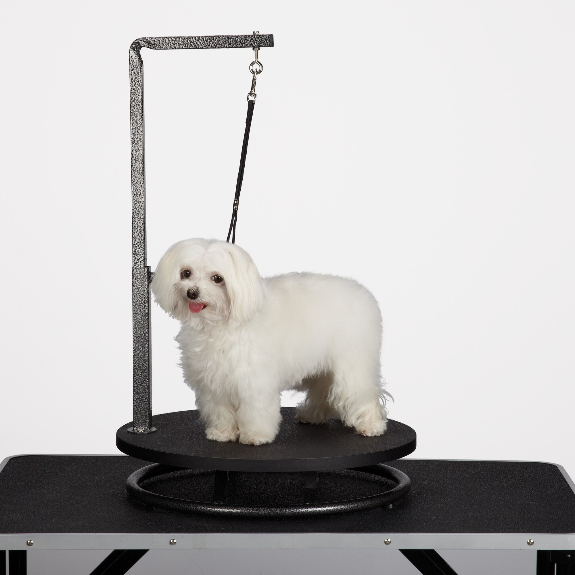 Master Equipment Petedge Small Dog Grooming Table & Reviews | Wayfair